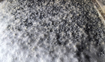 Stake(中国区)官方网站