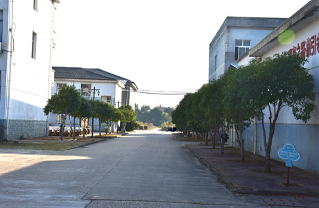 Stake(中国区)官方网站